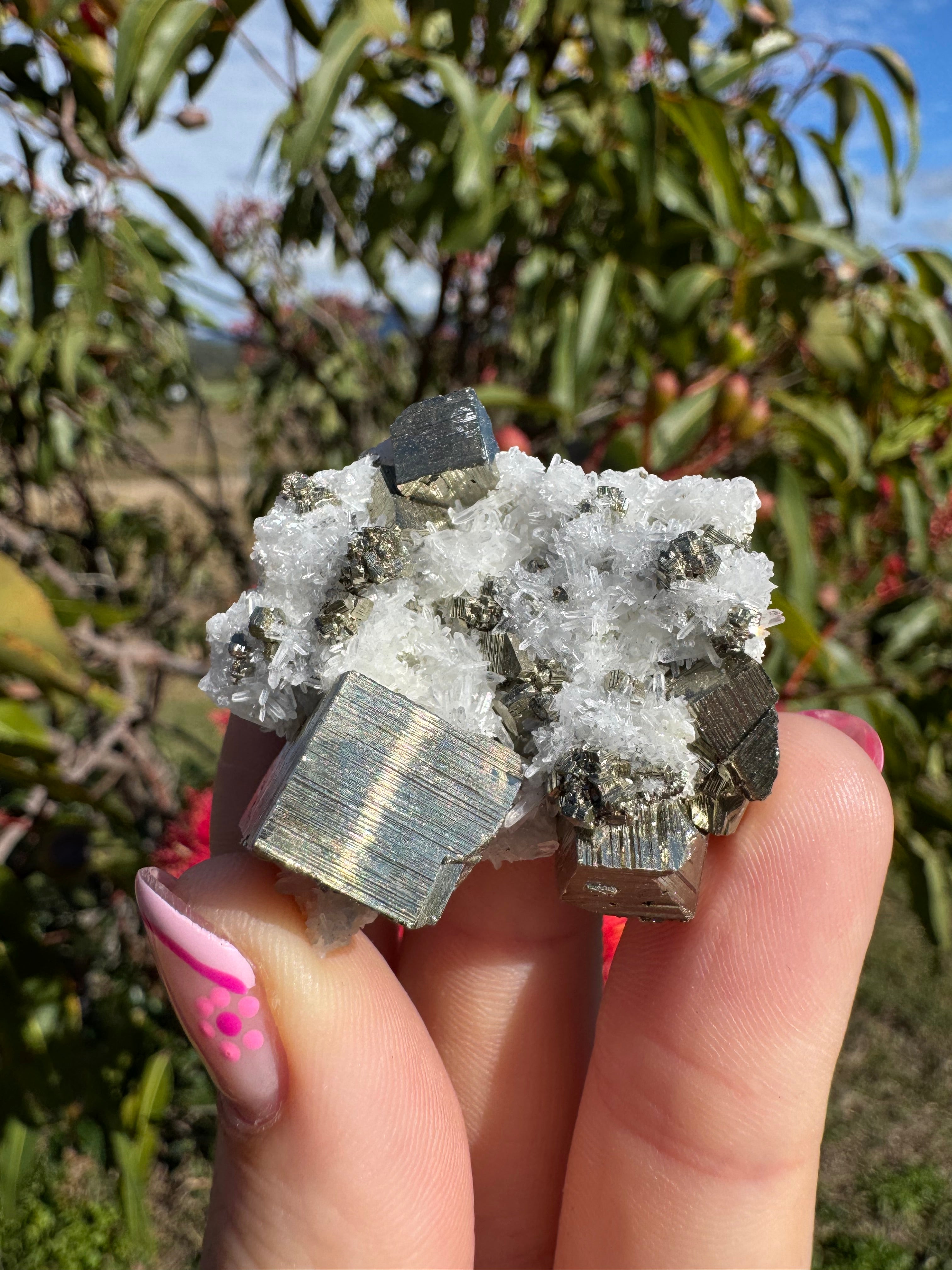 Pyrite Cubes on Quartz Specimen