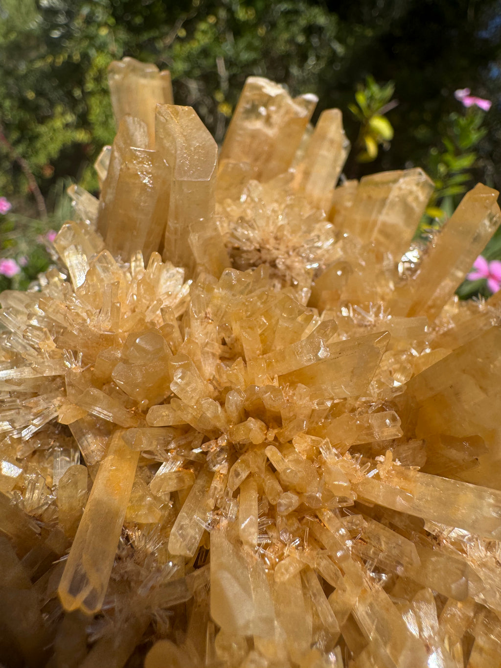 Selenite ‘Gypsum’ Natural Specimen