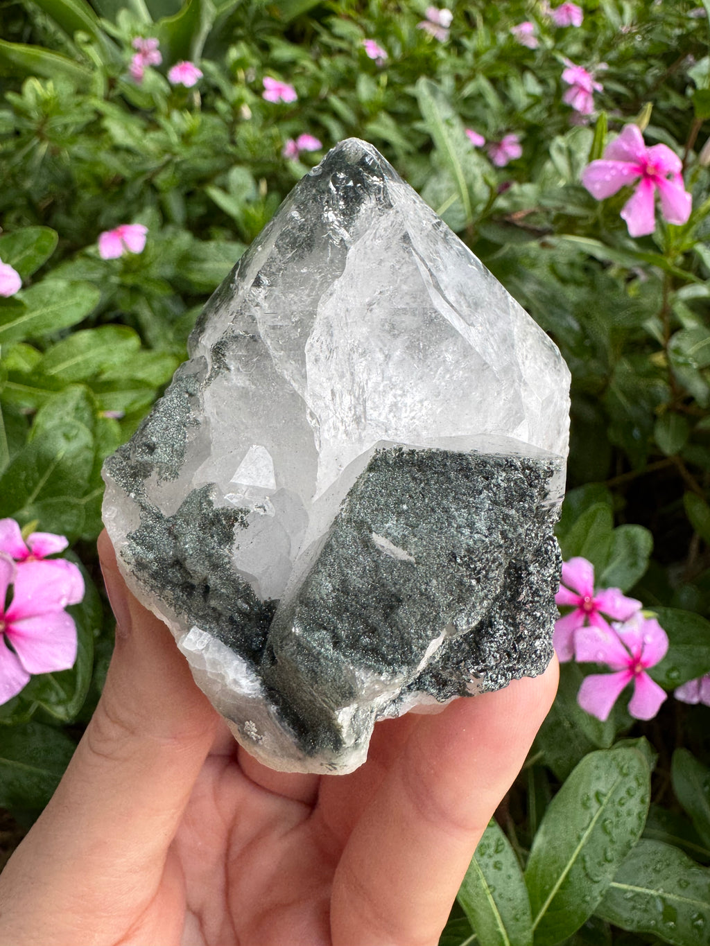 Silver Garden Quartz with Actinolite Inclusions Point