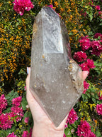 Inclusion Smoky Quartz Freeform - Enhydro