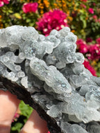 Black Chalcedony Stalactites with Apophyllite Specimen
