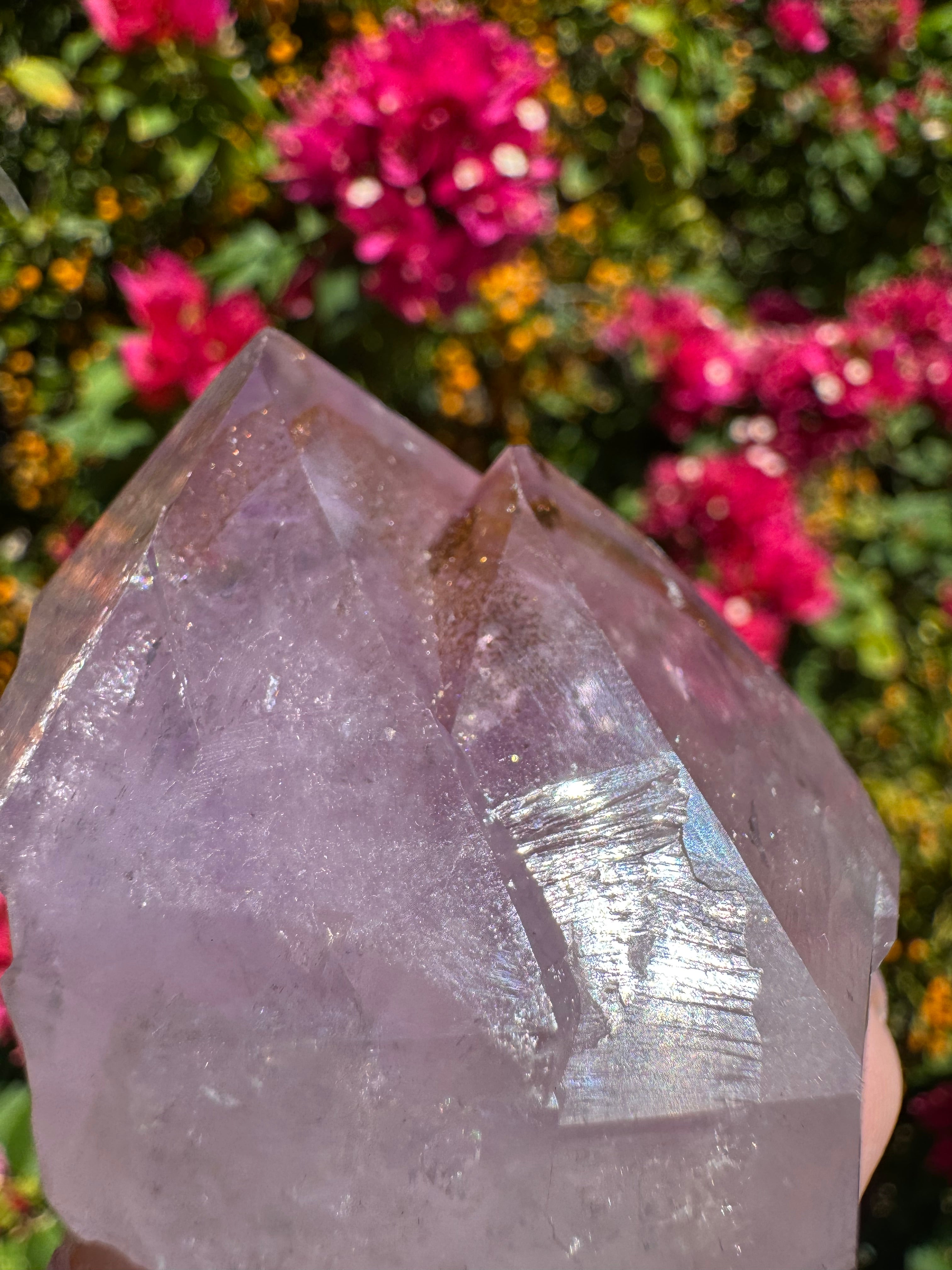 Collector’s Nigerian Phantom Amethyst with Record Keepers