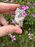 Spiralite ‘Gastropod’ Fossil