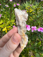 Hematite Quartz Specimen - Mt Isa