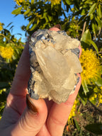 Spécimen de calcite en dents de chien sur matrice de galène