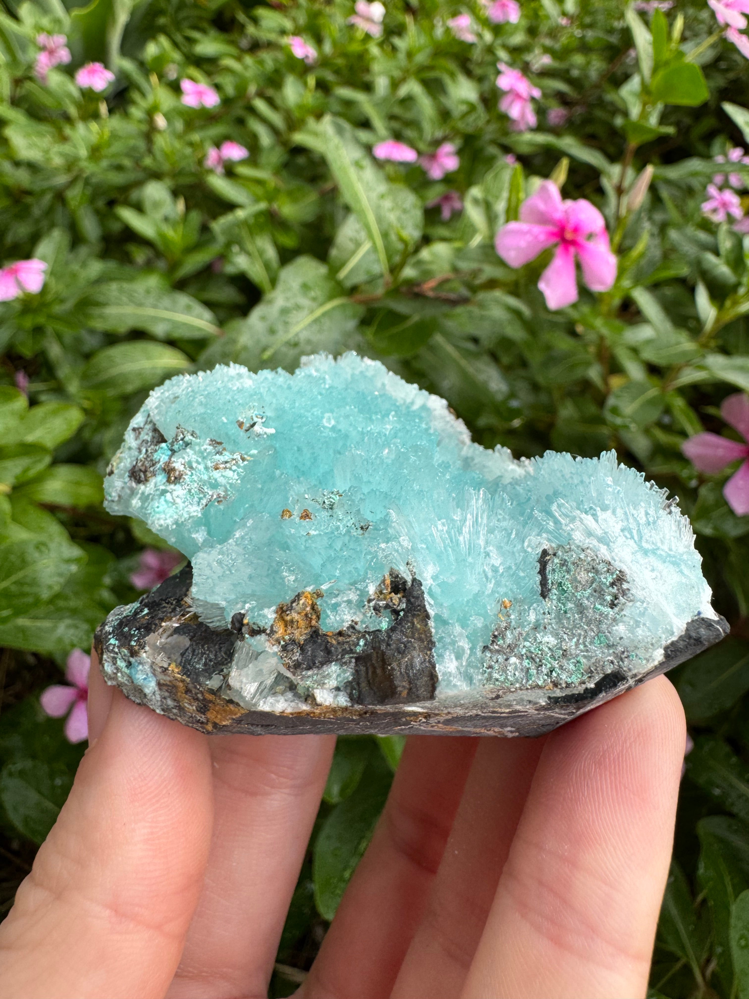 Hemimorphite Needle Formation On Matrix Specimen