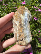 Blue Lace Agate Specimen