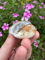Spiralite ‘Gastropod’ Fossil