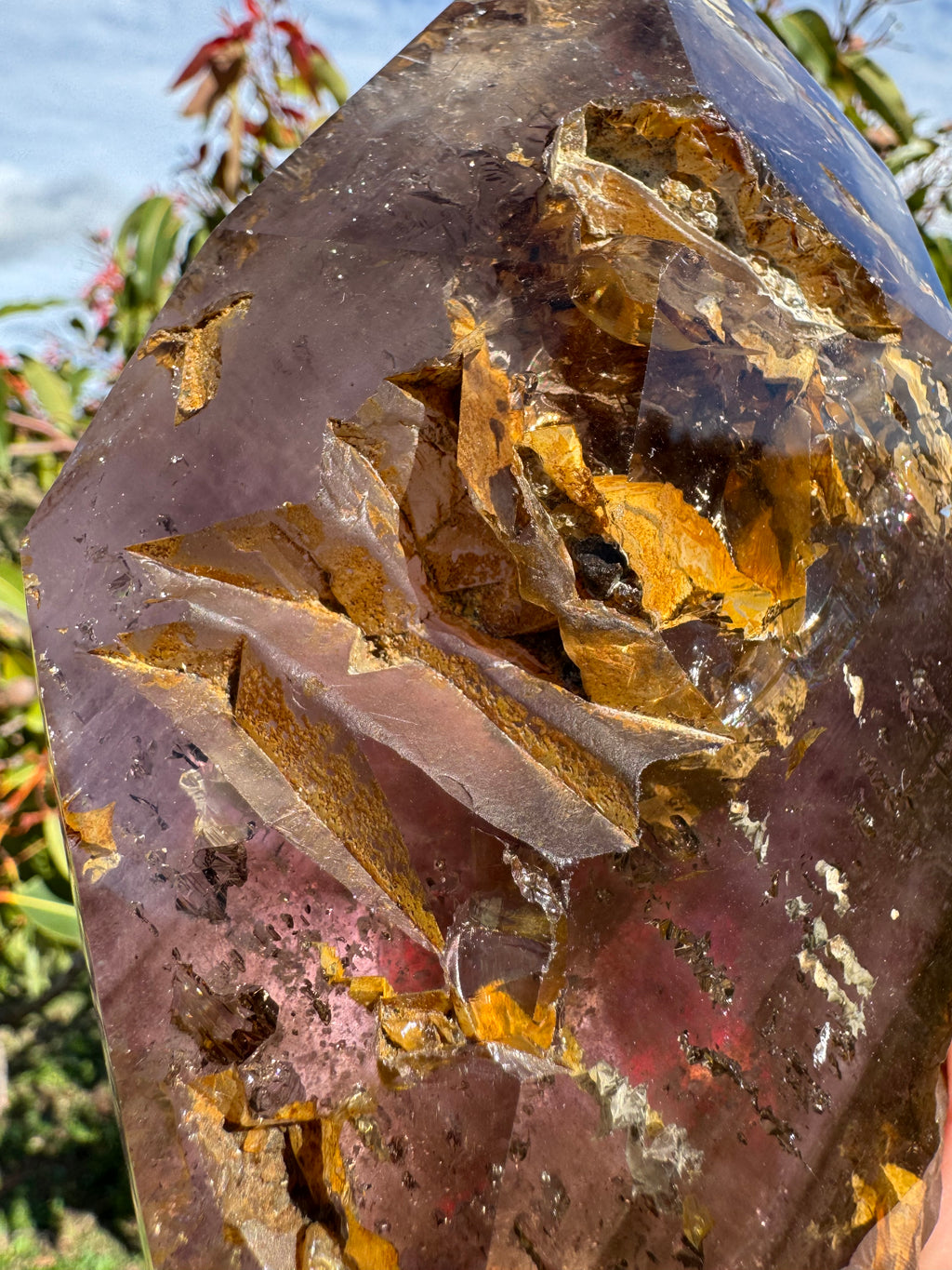Inclusion Amethyst Freeform – Moving Enhydro