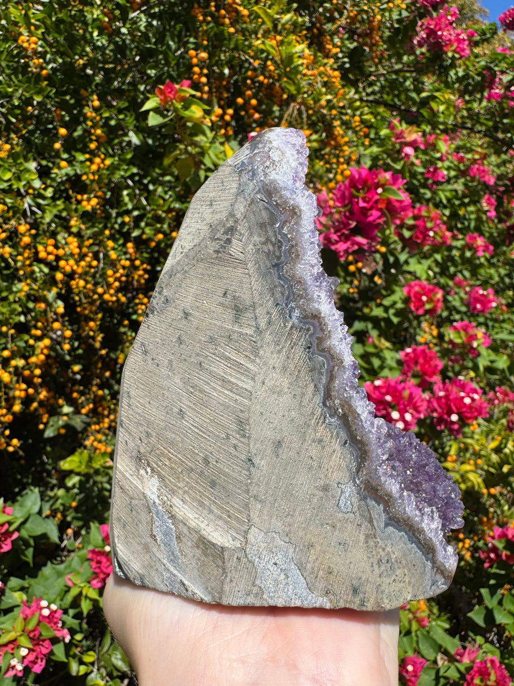 Amethyst Druzy Standing Geode  – 1.685kg