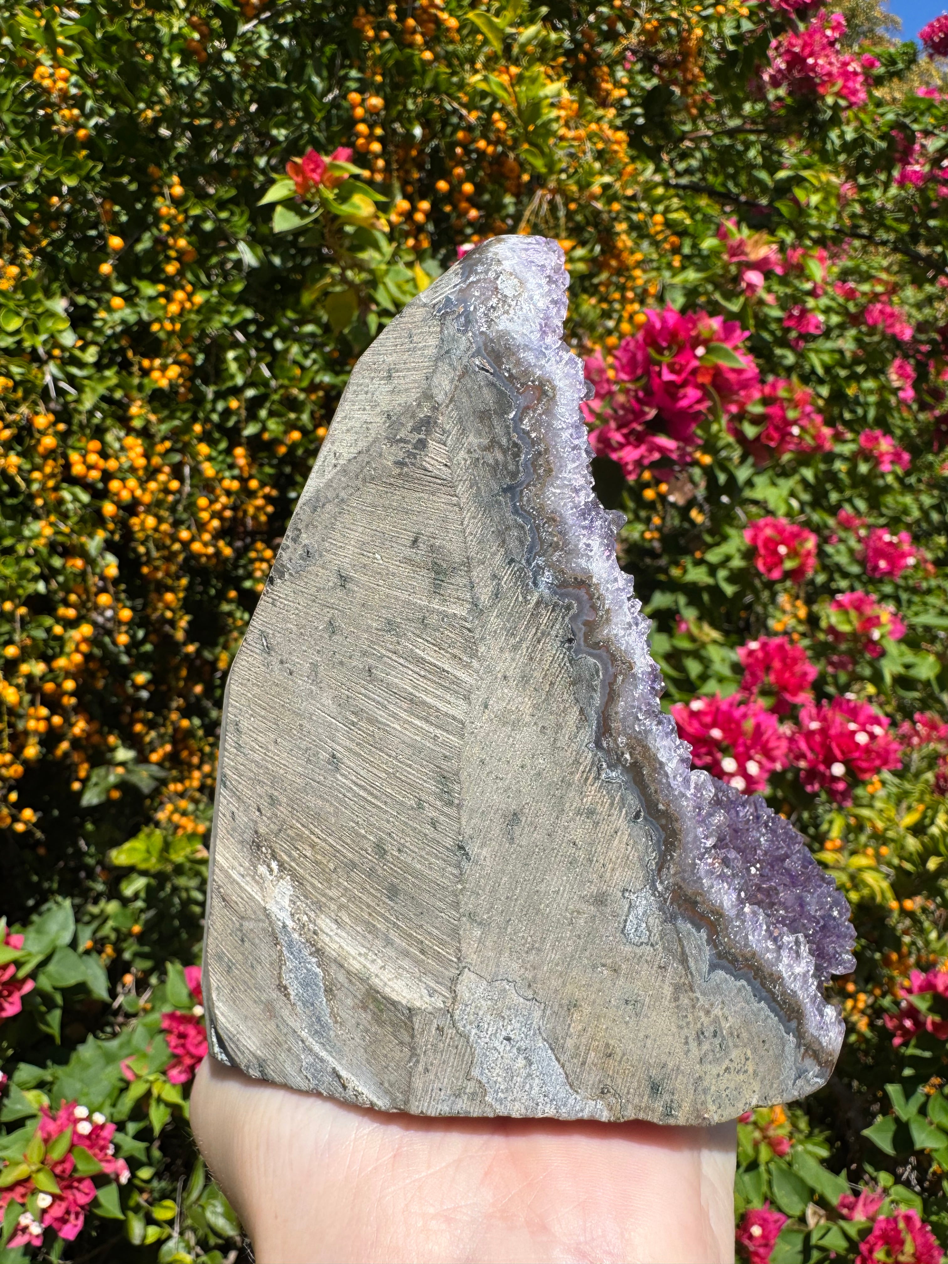 Amethyst Druzy Standing Geode  – 1.685kg