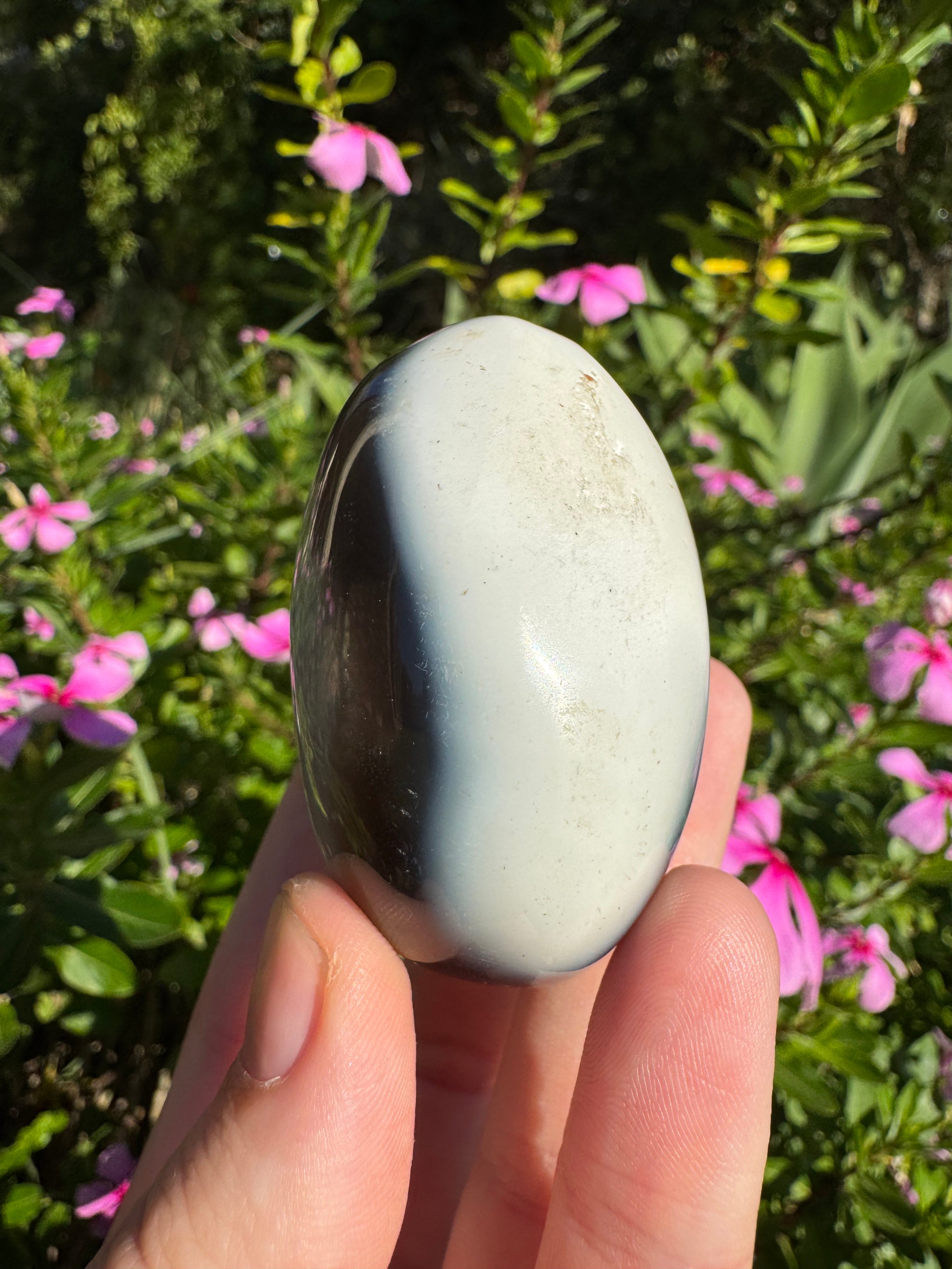 Orca Agate Palm Stone