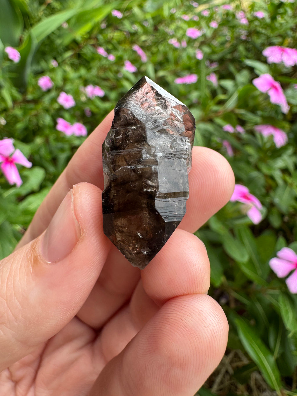 Mooralla Smoky Quartz Cluster