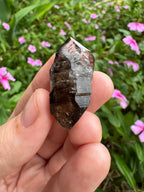 Mooralla Smoky Quartz Cluster