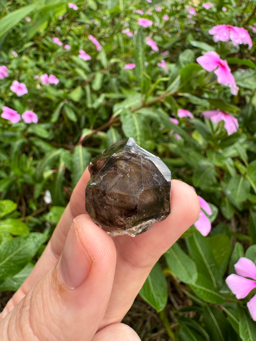 Mooralla Smoky Quartz Cluster