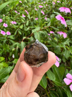 Mooralla Smoky Quartz Cluster
