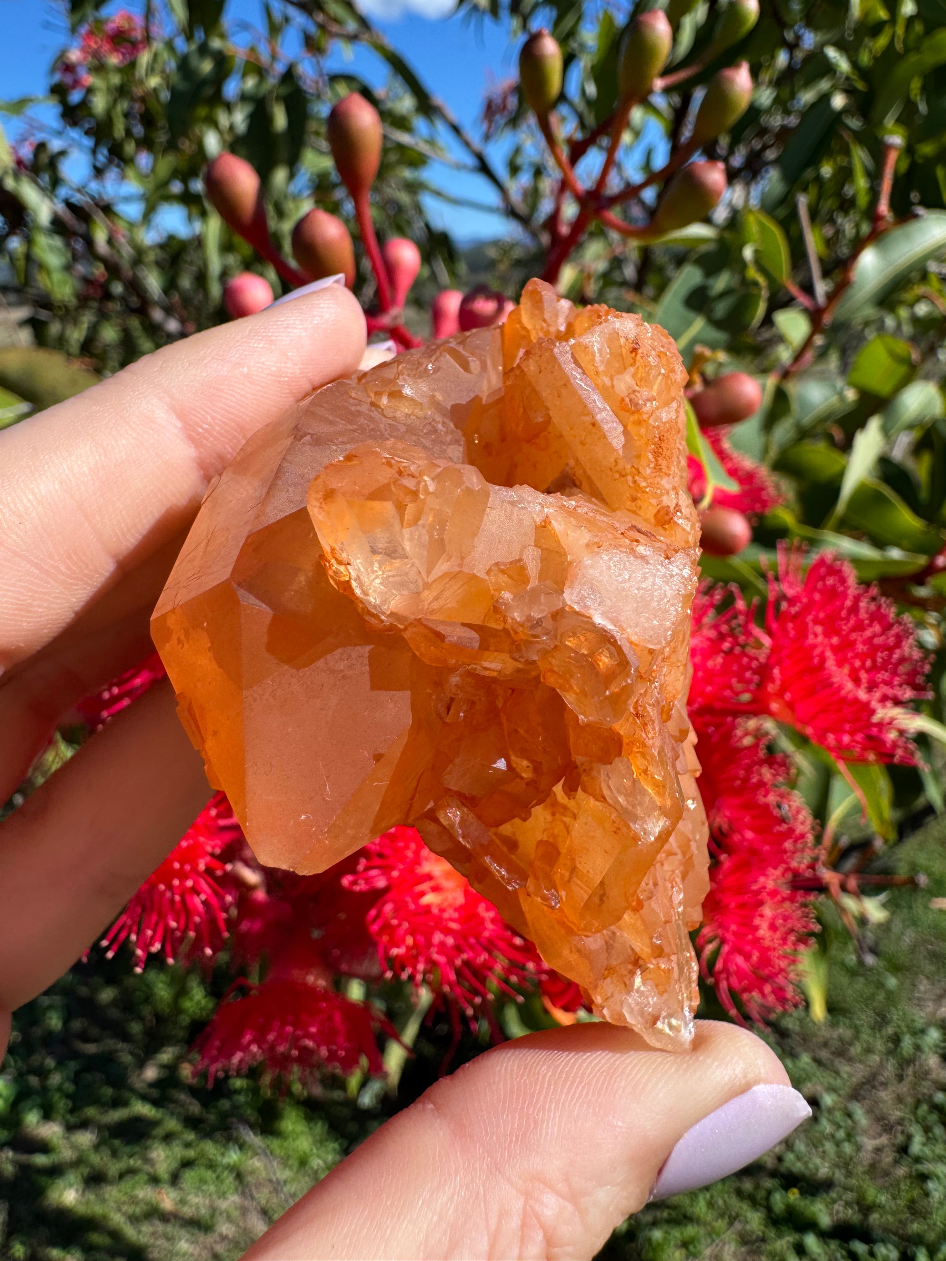 Tangerine Quartz Cluster