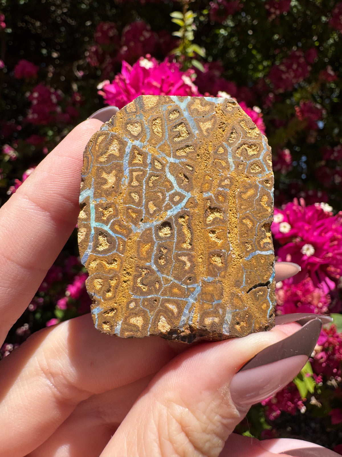 Boulder Opal Slice | Karoit