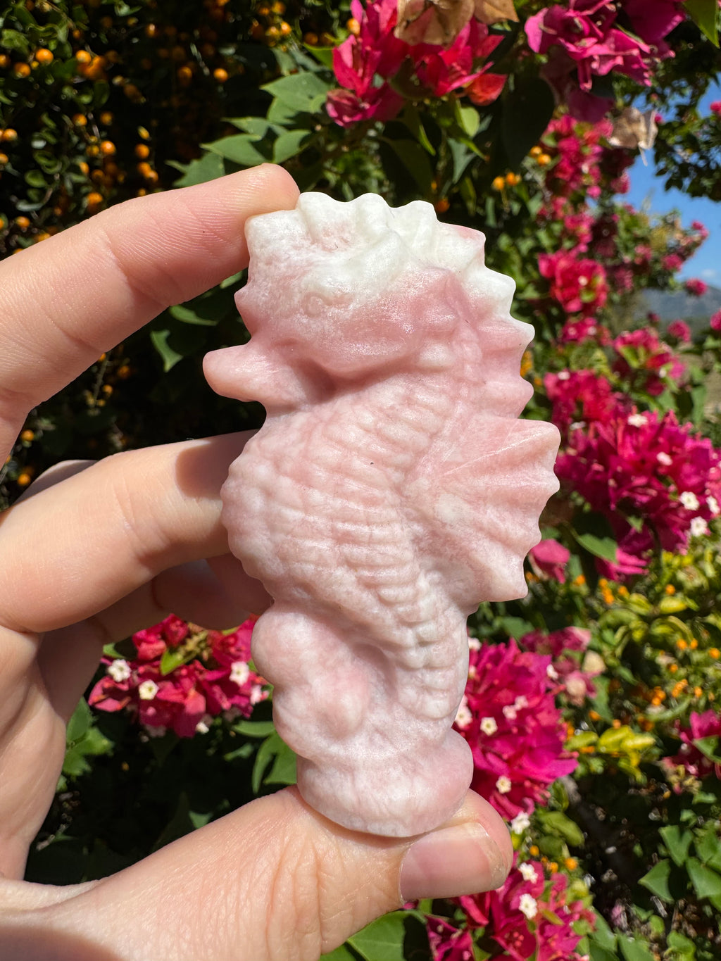 Pink Opal Seahorse Carving
