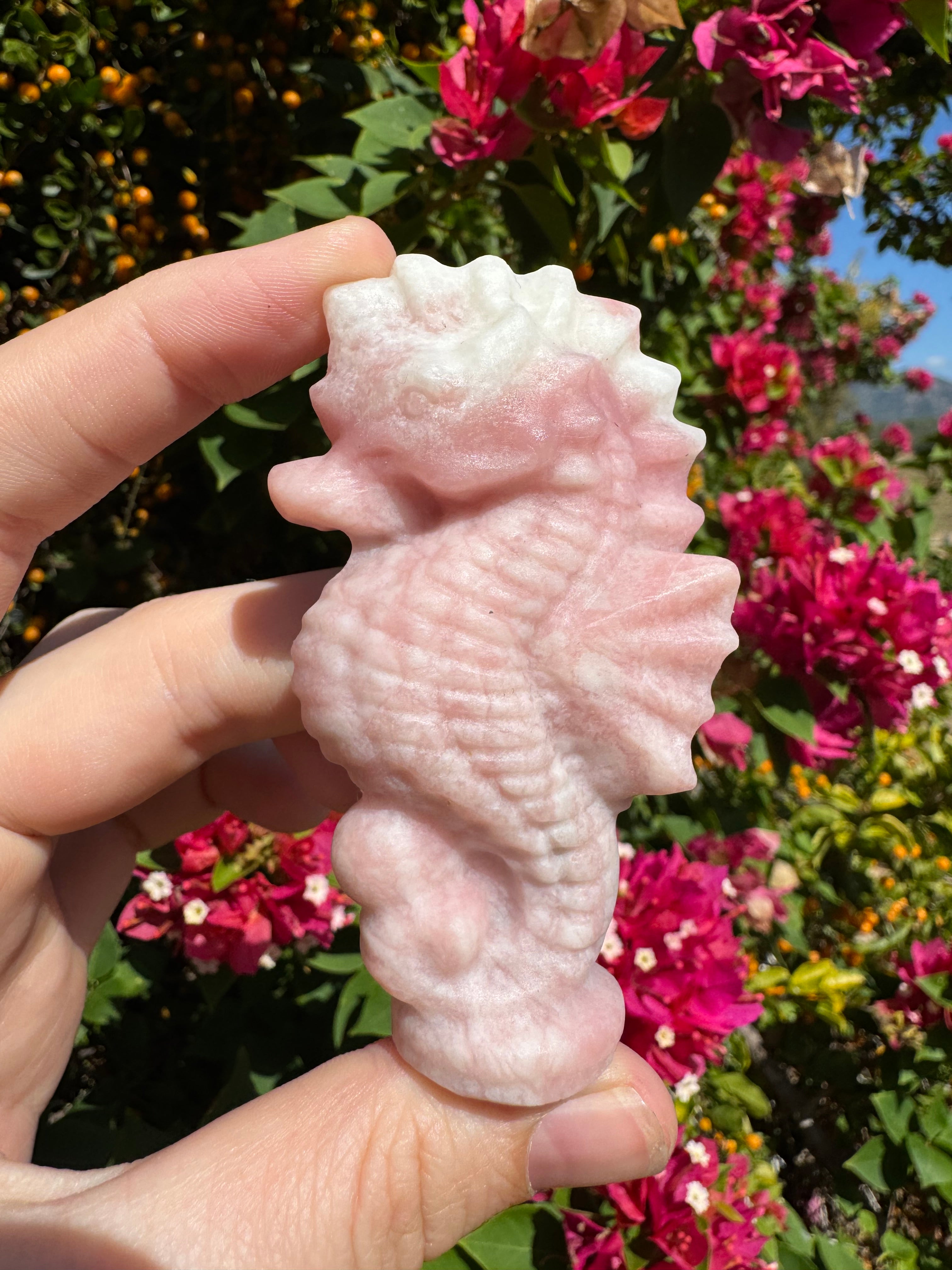 Pink Opal Seahorse Carving