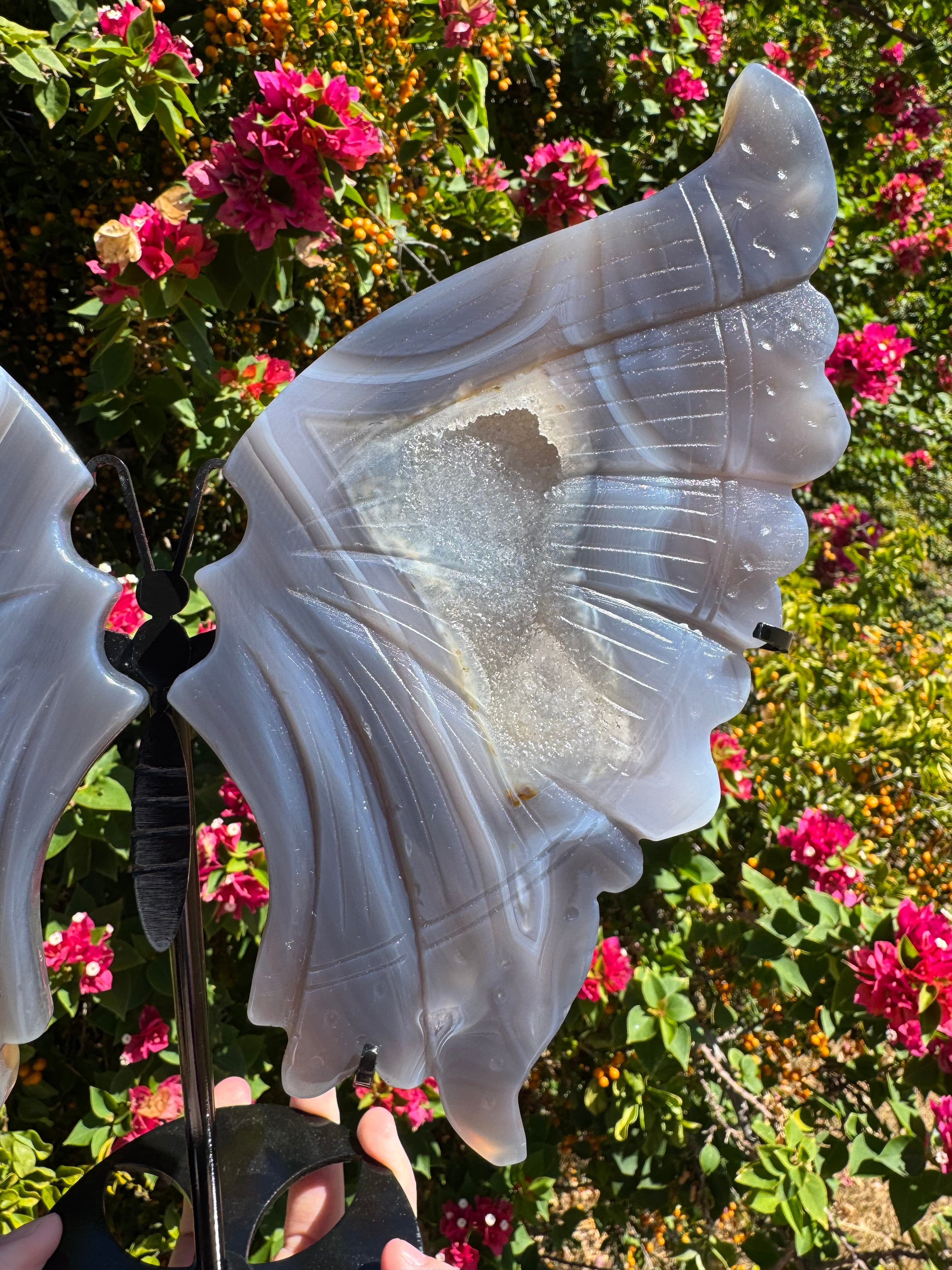Druzy Agate Wings on Stand
