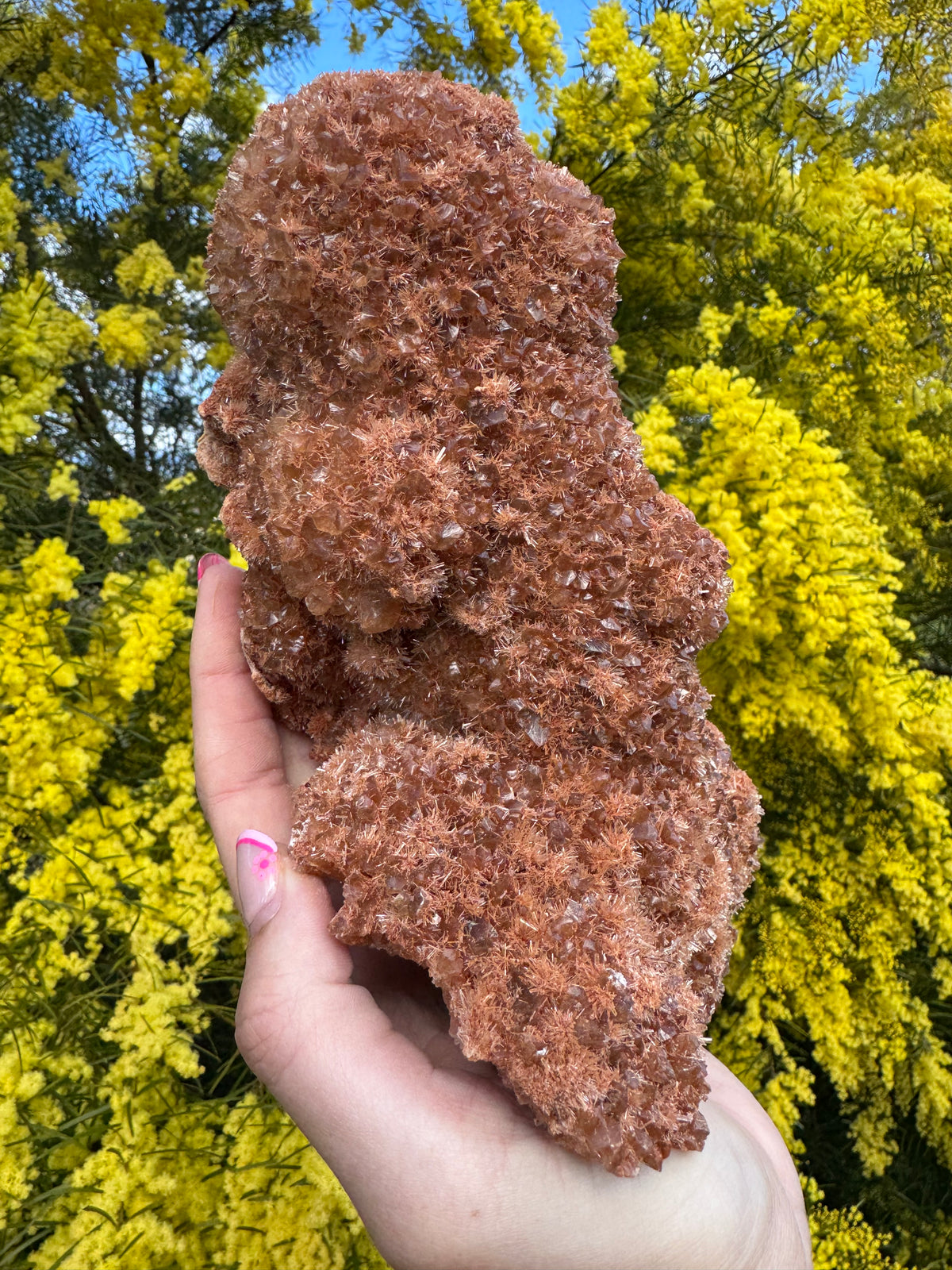Red Selenite ‘Gypsum’ Specimen - Port Hedland
