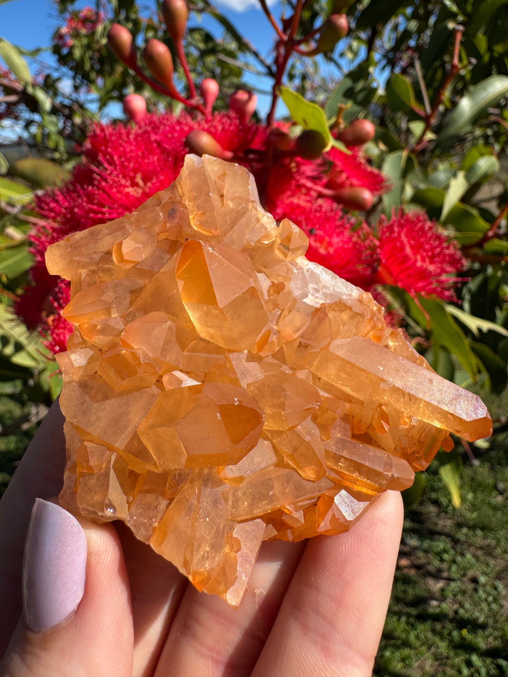 Tangerine Quartz Cluster