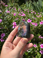 Spectrolite Labradorite Freeform