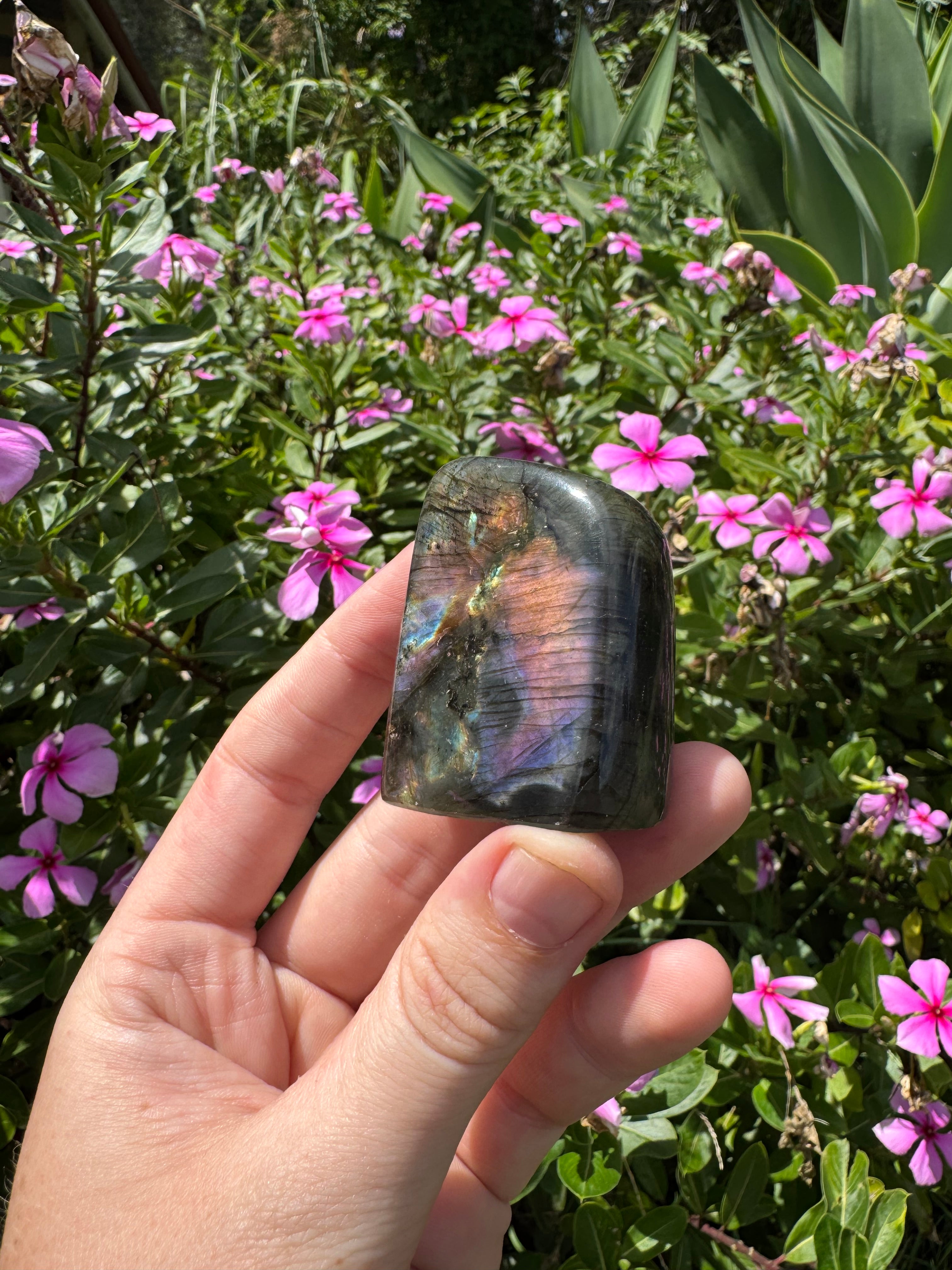Spectrolite Labradorite Freeform