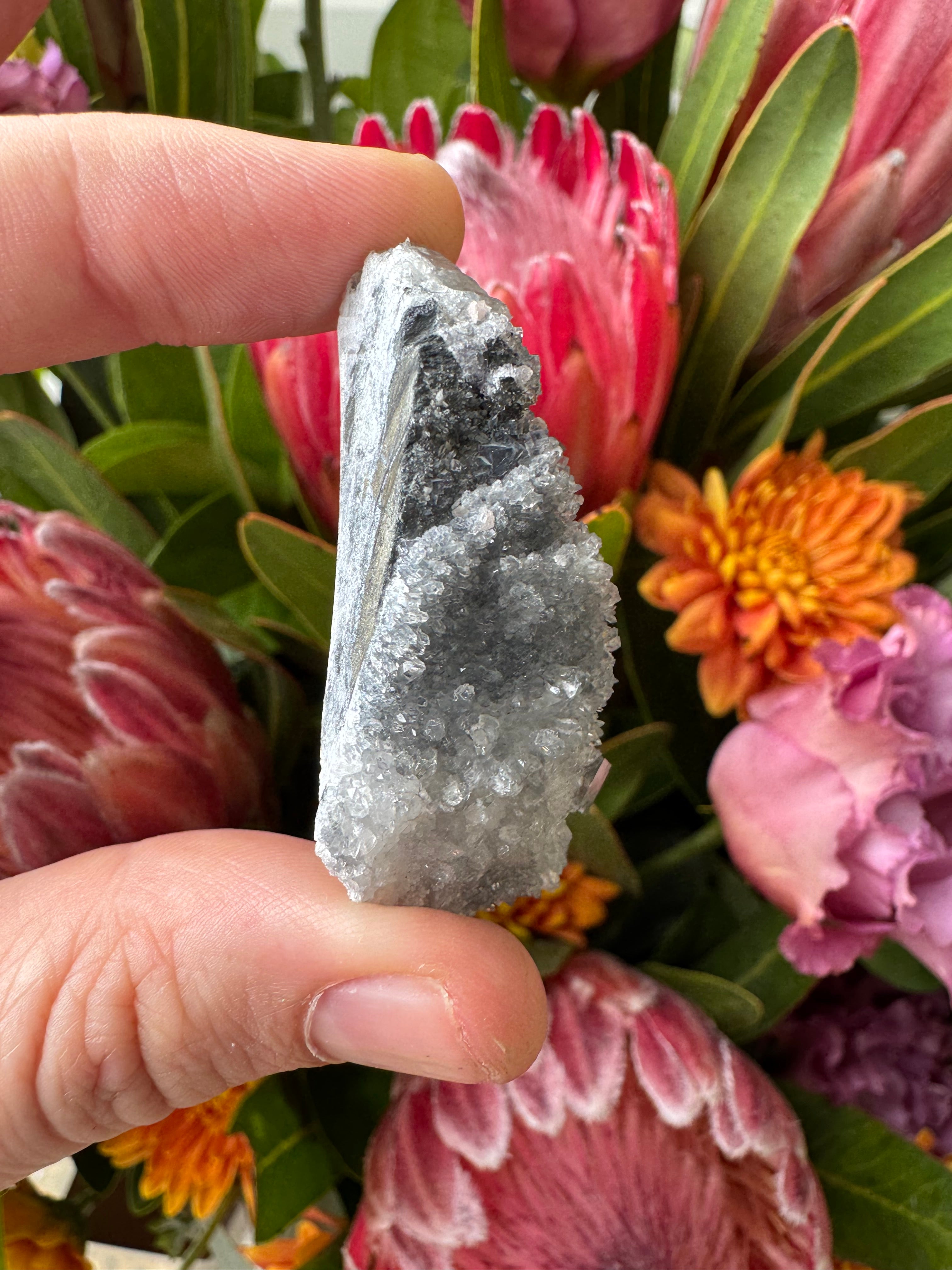 Rhodochrosite + Quartz + Fluorite Specimen