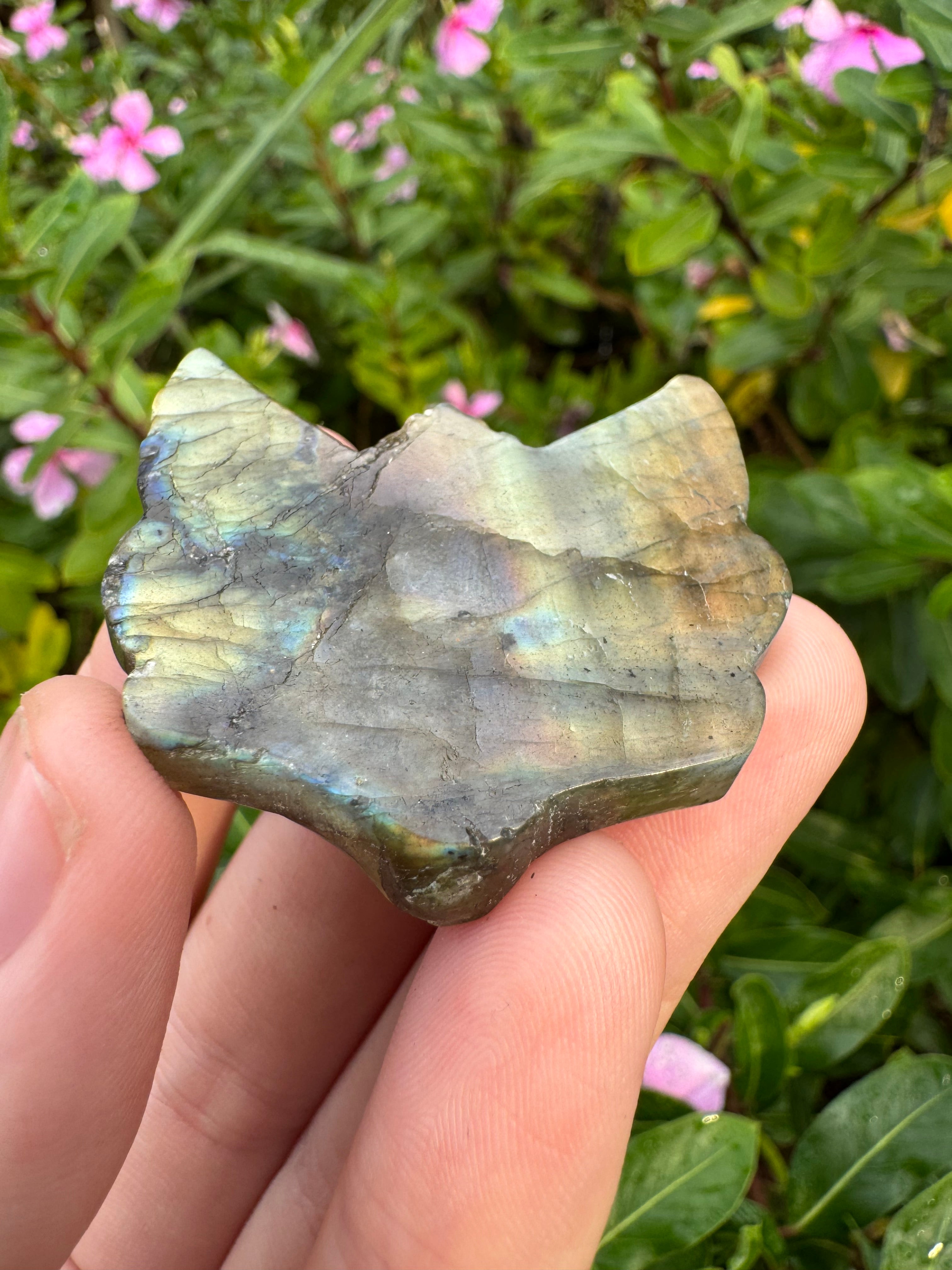 Labradorite Fox Carving