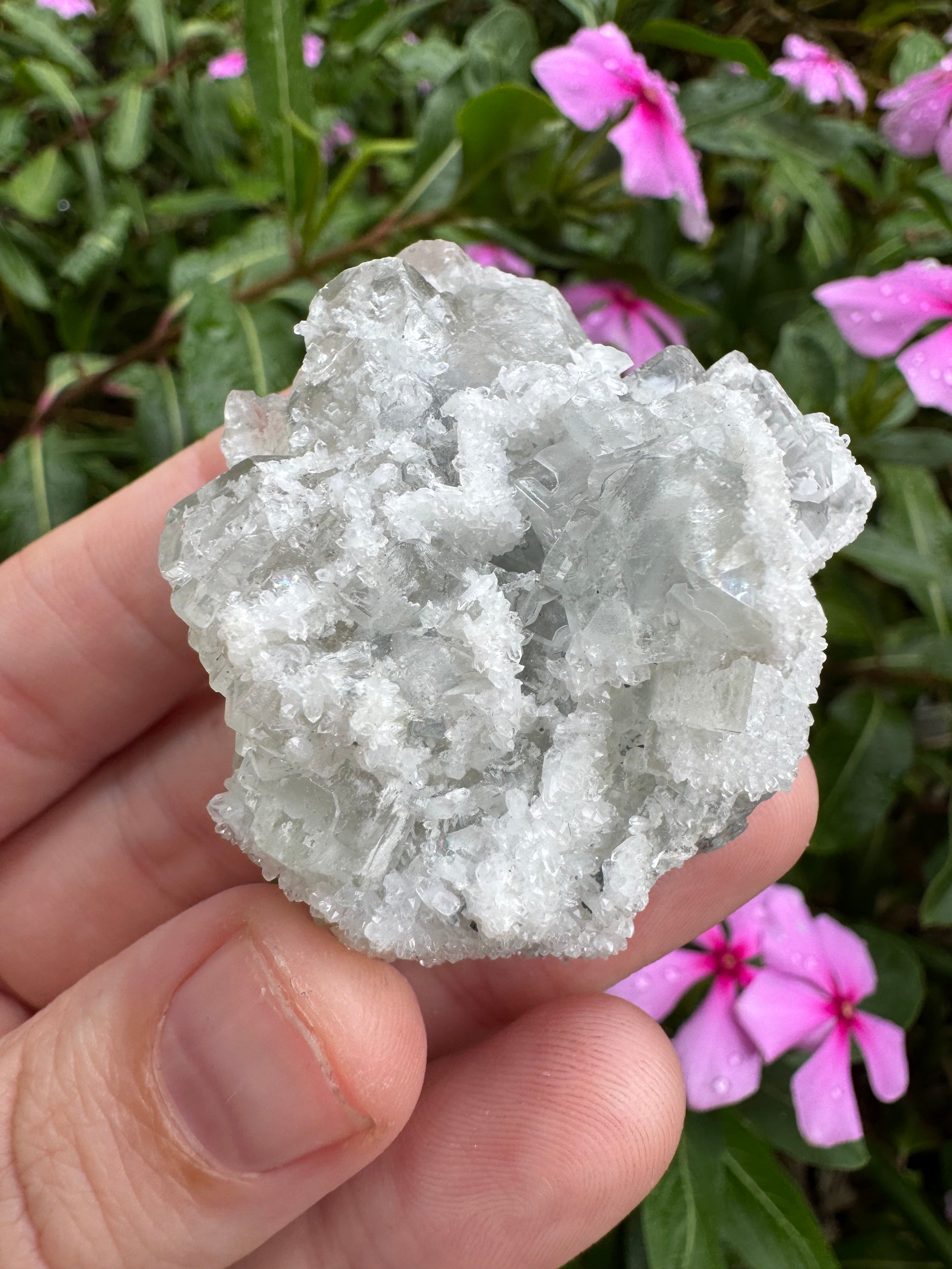 Sugar-Coated Cubic Fluorite Cluster