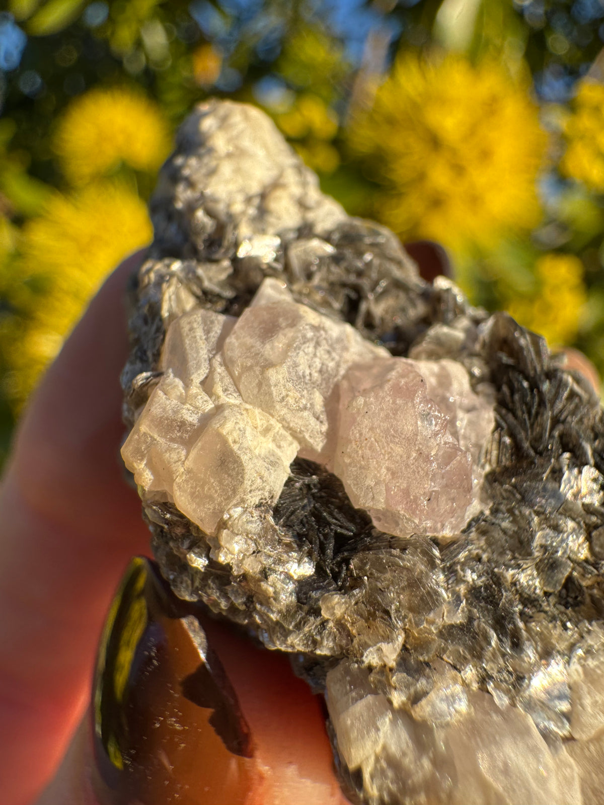 Pink Apatite On Mica Matrix Specimen