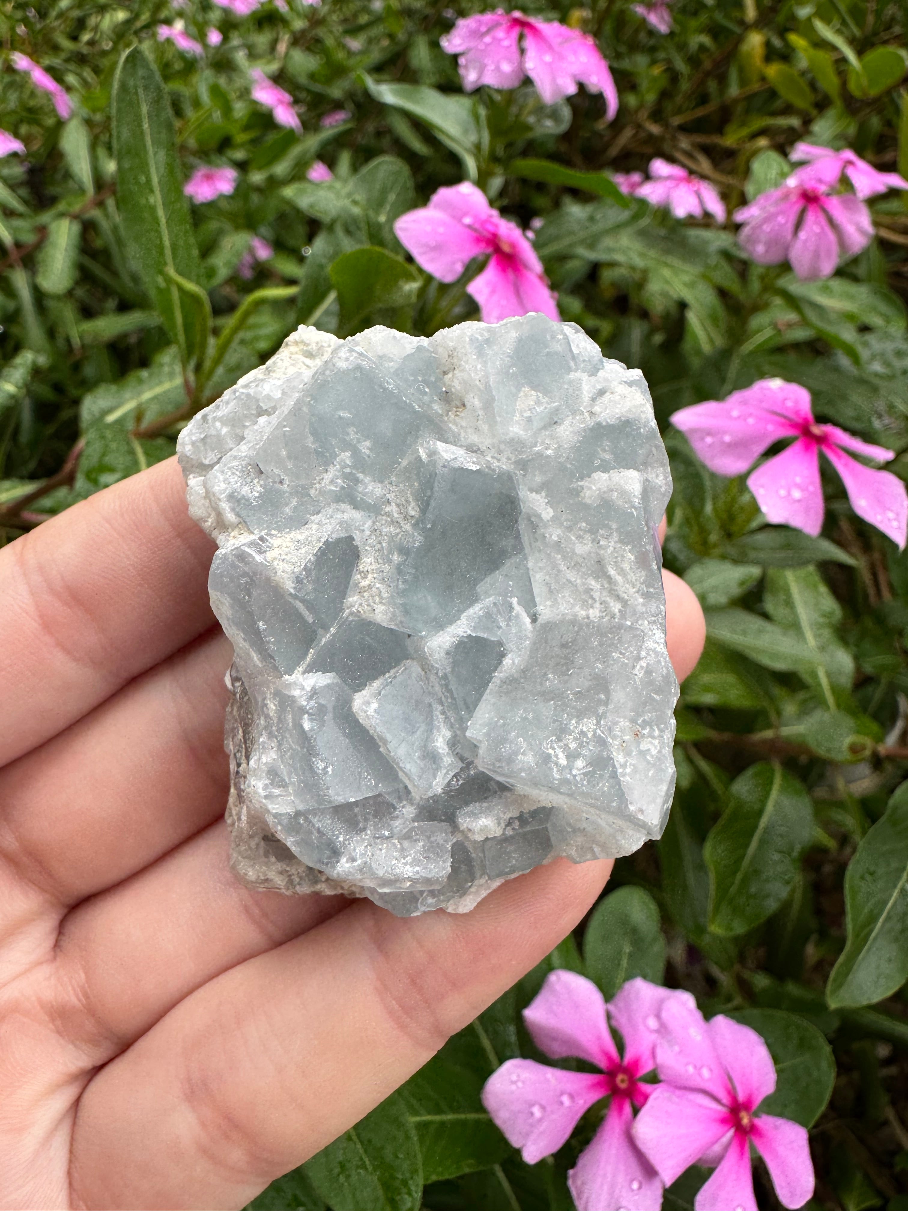 Blue Cubic Fluorite Cluster