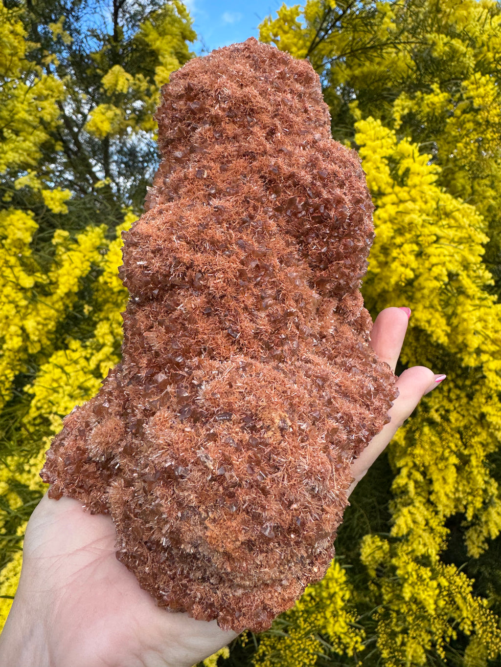 Red Selenite ‘Gypsum’ Specimen - Port Hedland