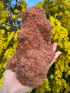 Red Selenite ‘Gypsum’ Specimen - Port Hedland