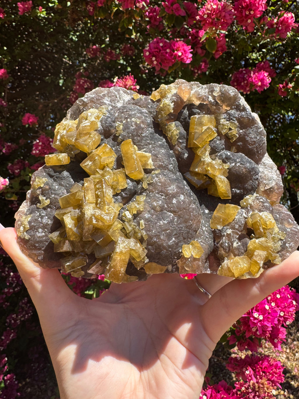 Golden Barite With Botryoidal Chocolate Calcite Specimen | 1.6kg