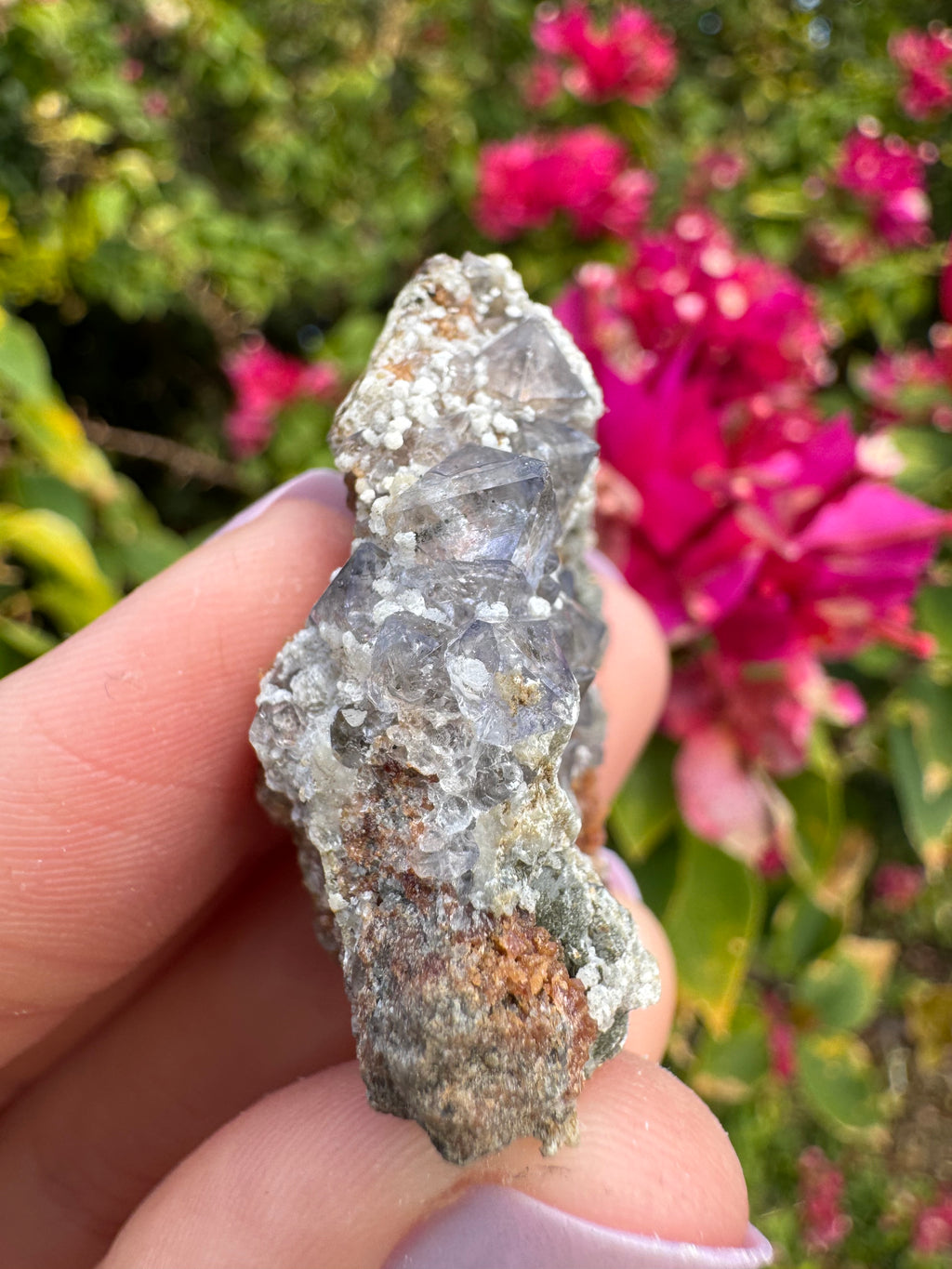 Octahedral Fluorite And Garnet Specimen