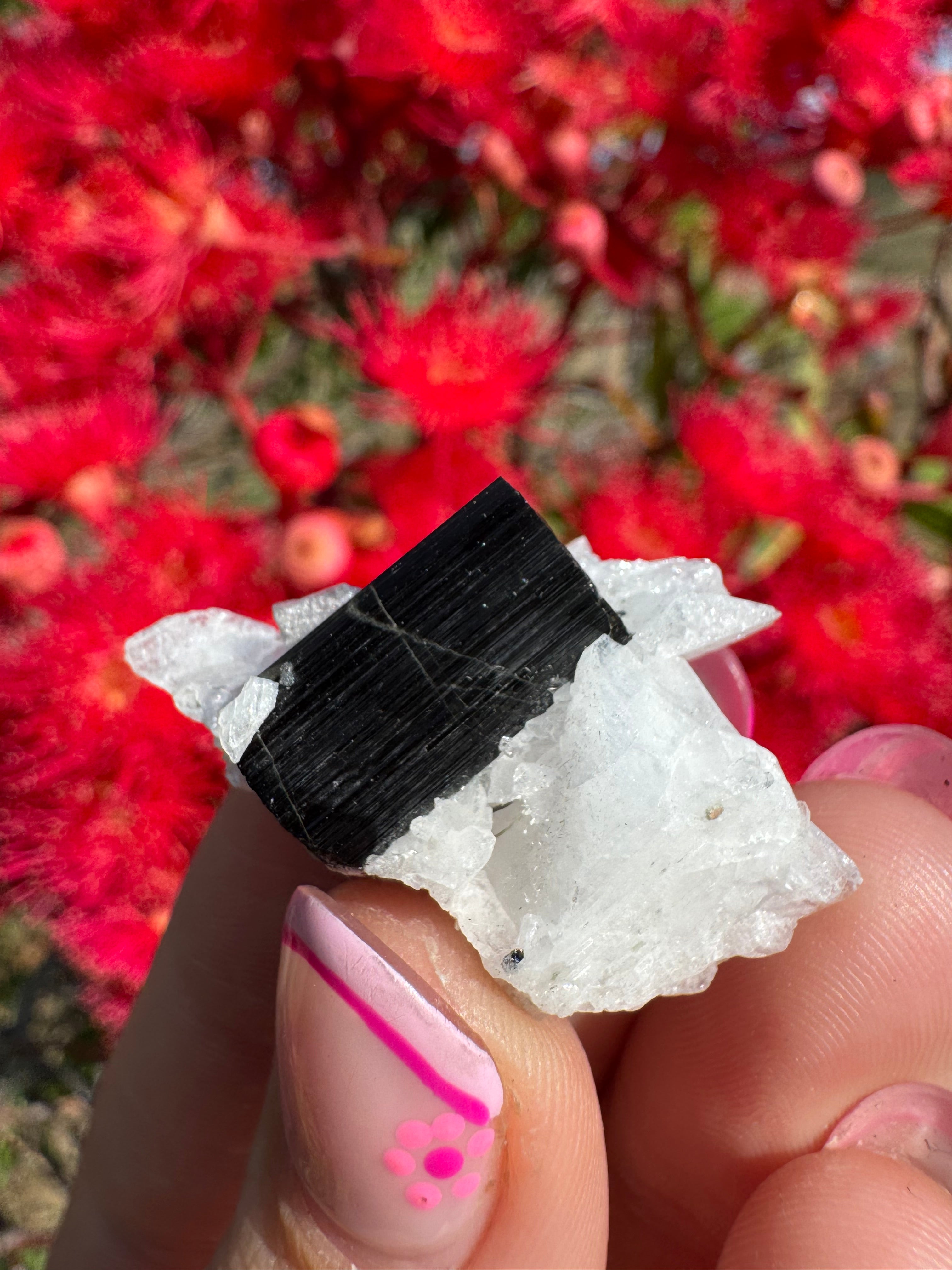 Green Tourmaline and Quartz Specimen - Stak Nala