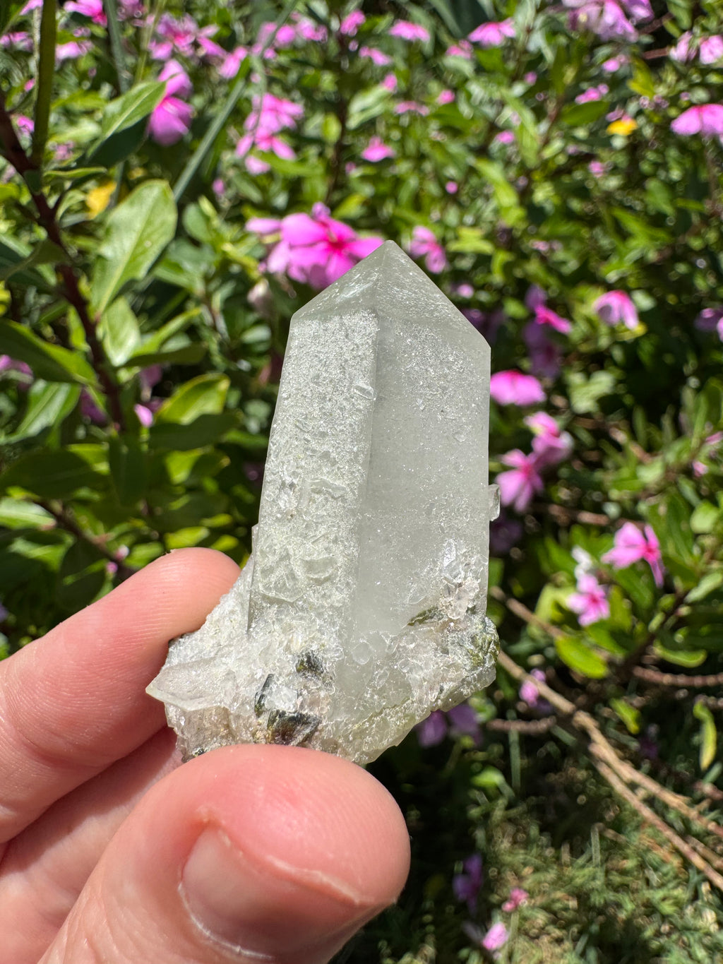 Sugar-Coated Epidote On Quartz Point