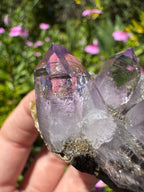 Vera Cruz Amethyst Specimen