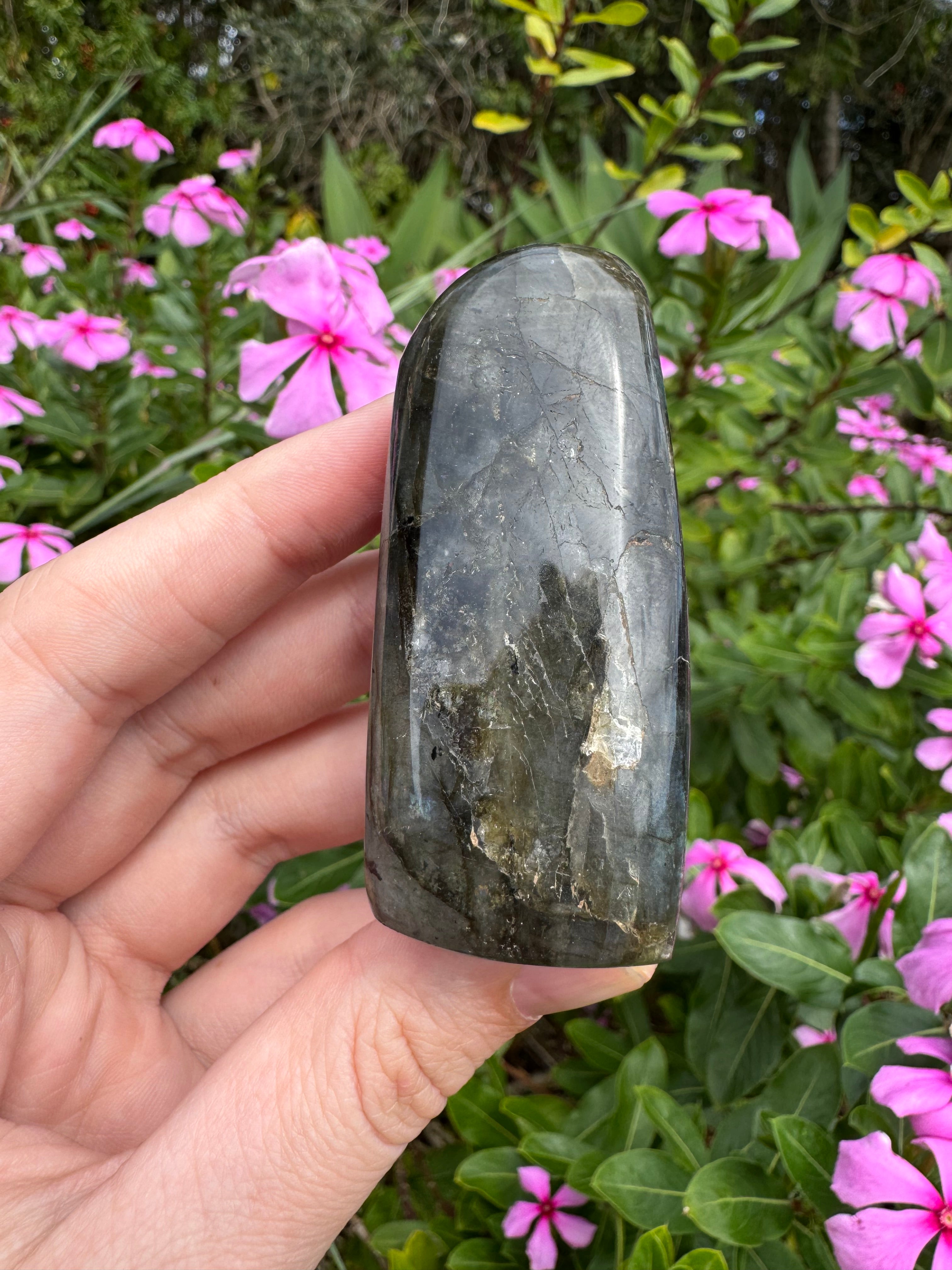 Labradorite Standing Freeform