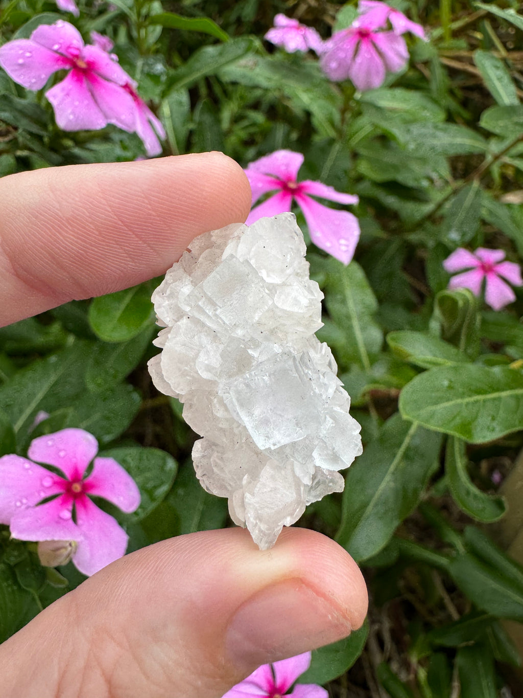 Blue Cubic Fluorite Specimen - High Quality