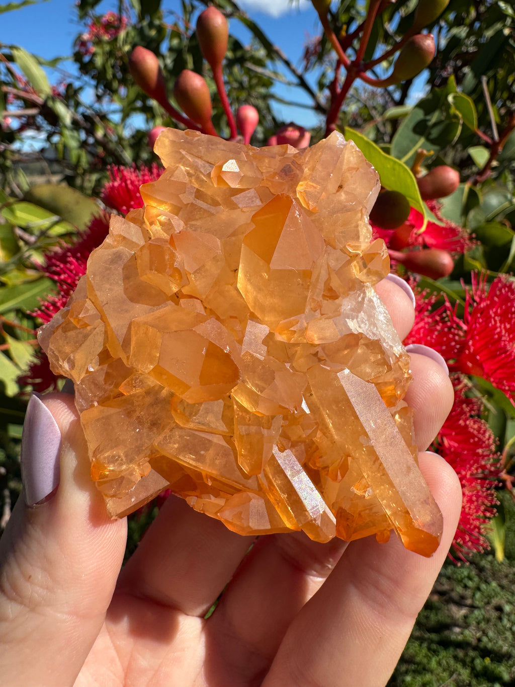 Tangerine Quartz Cluster