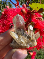 Hematite Phantom Quartz Cluster - Torrington