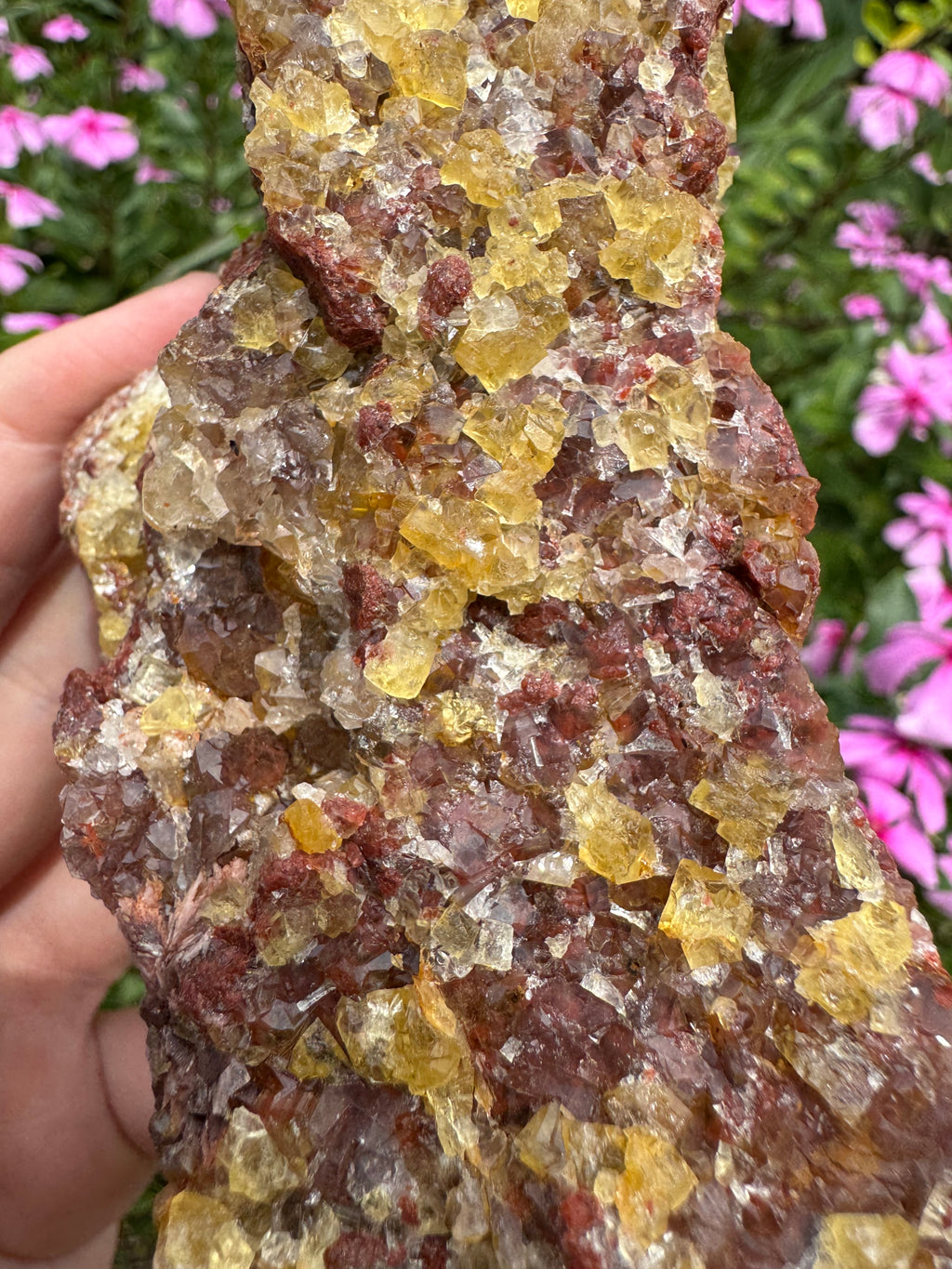 Yellow Cubic Fluorite on Iron-Stained Quartz Specimen