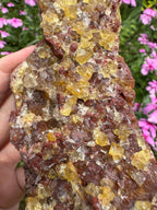 Yellow Cubic Fluorite on Iron-Stained Quartz Specimen