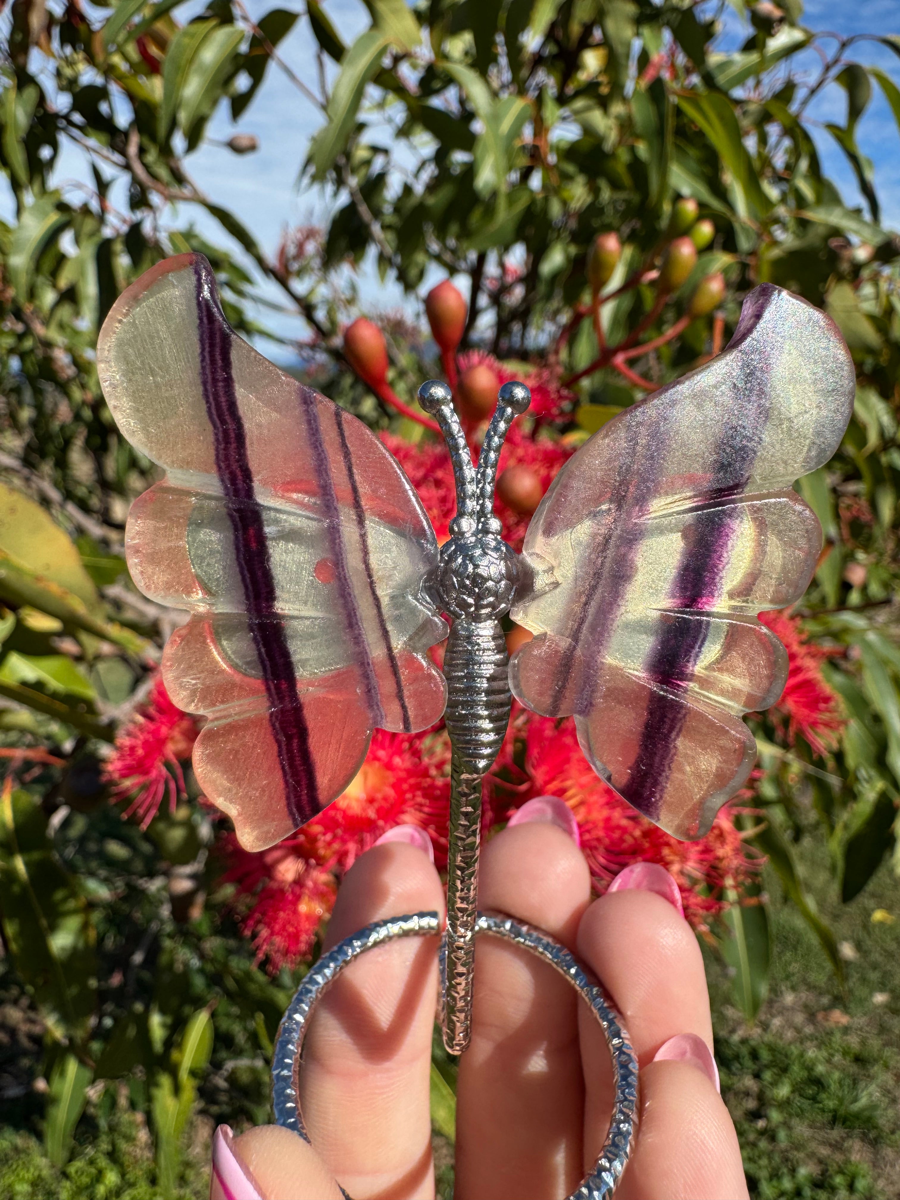 Purple Fluorite Butterfly Wings