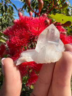 Himalayan Quartz Cluster