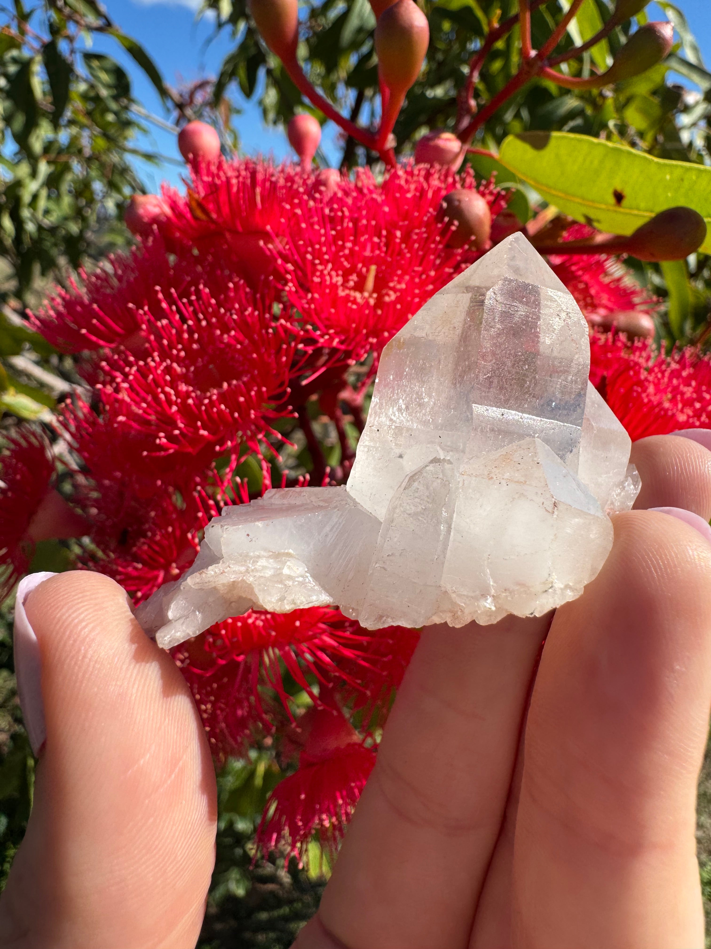 Himalayan Quartz Cluster
